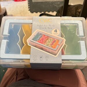 CWC Multicolor 4-Compartment Snack Box - Travel Organizer